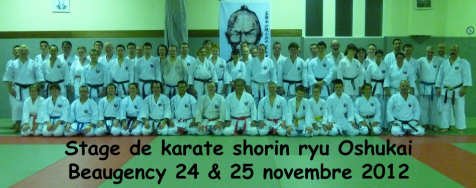 Stage Karaté Beaugency nov