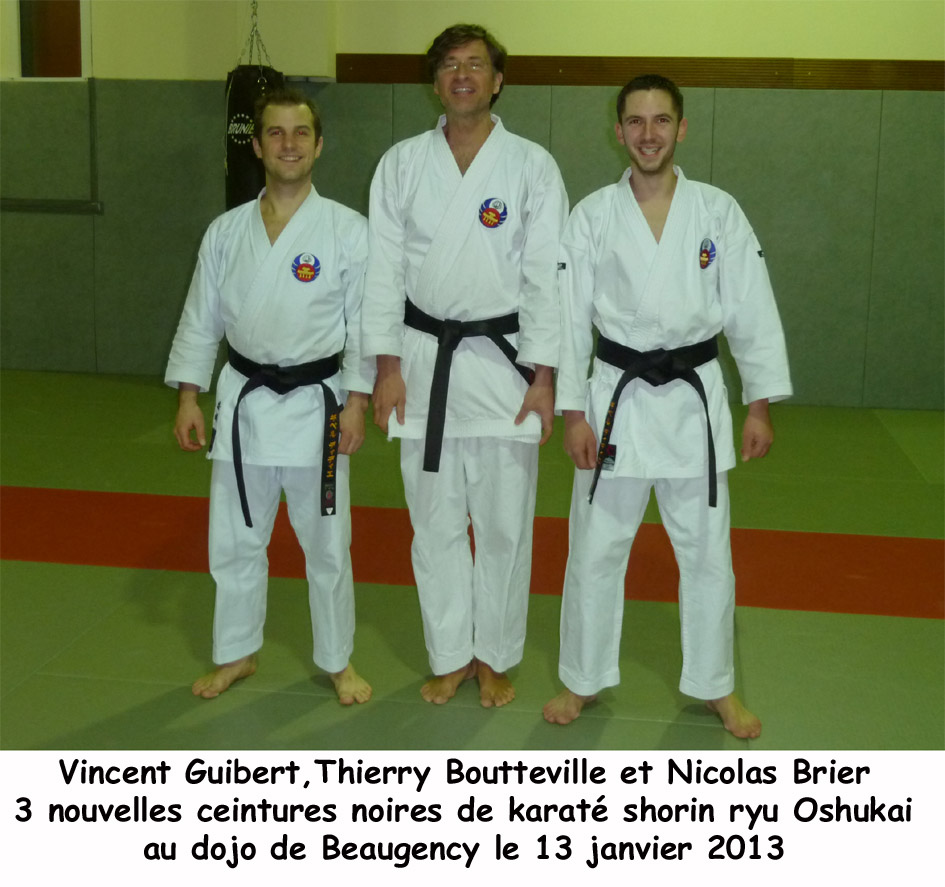 3 CN karaté janvier 2013