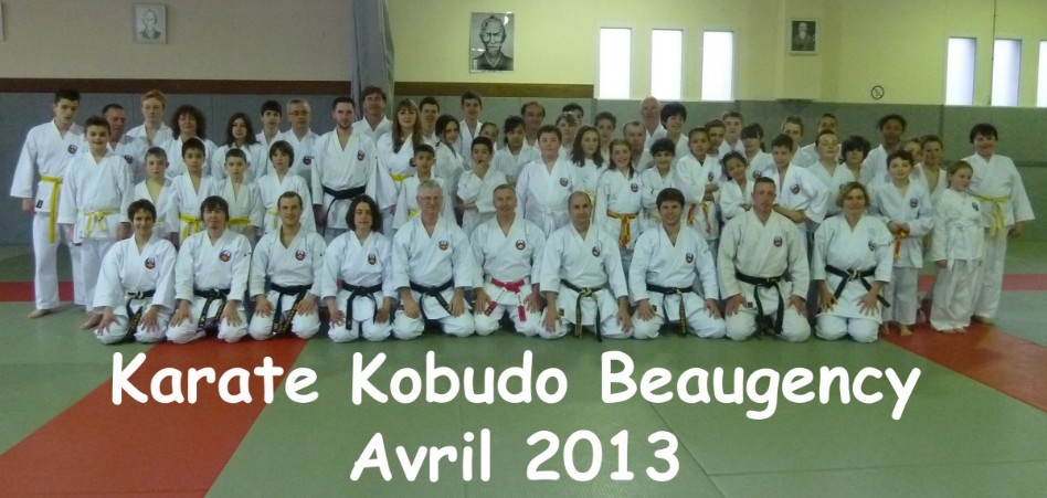 Dojo Oshukai Beaugency 2013