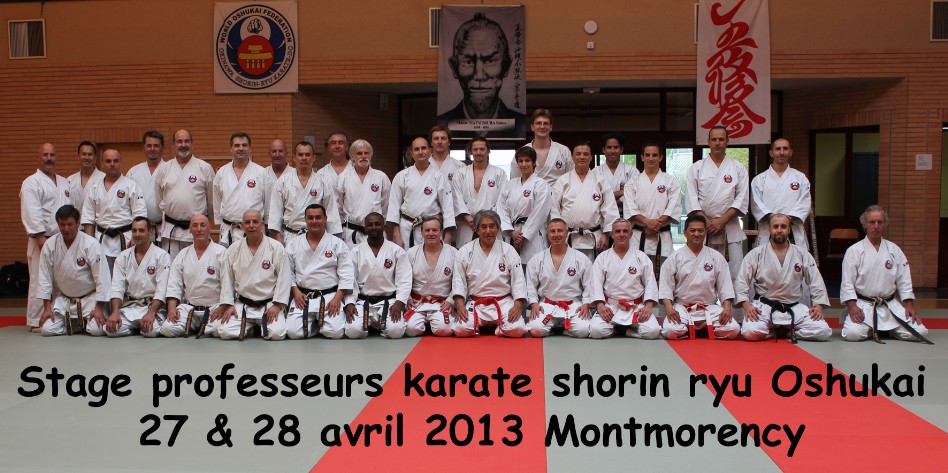 Stage prof karaté Montmorency