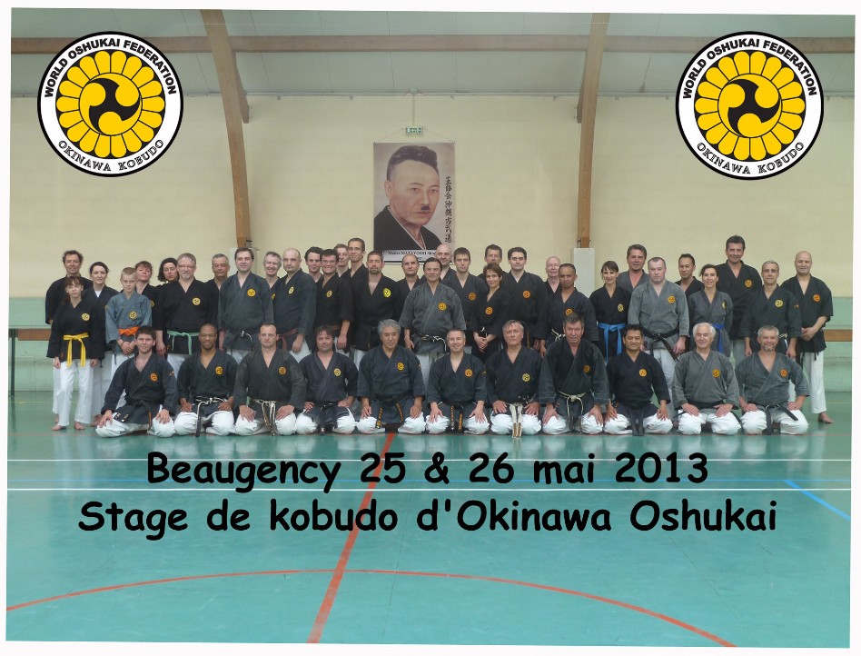Stage Chinen Beaugency mai