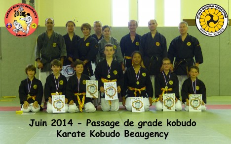 Fin kobudo
