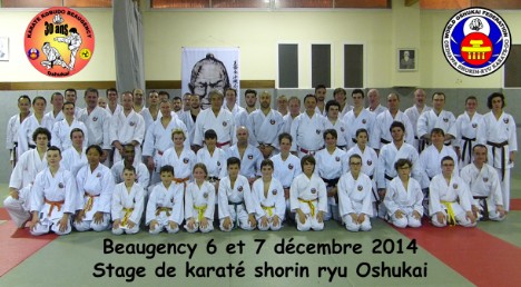 Stage Chinen Beaugency déc