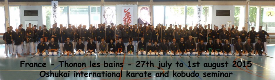 Thonon kobudo