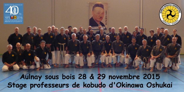 Stage prof Kobudo Aulnay