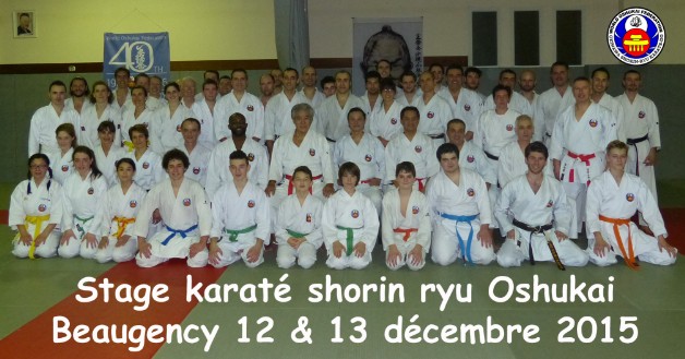 Stage Chinen Beaugency décembre
