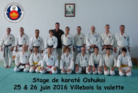 Karaté Villebois 2016