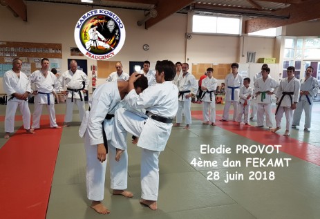 Elodie cours