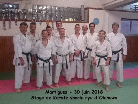 Stage Karaté Martigues