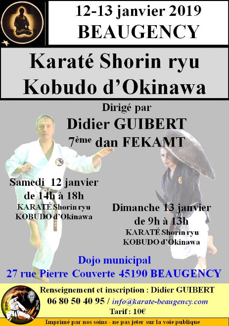 Affiche stage Beaugency janvier