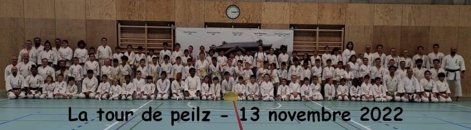 Groupe Senseï Uema