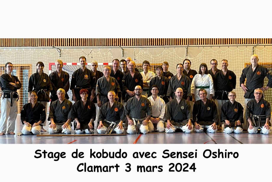 Stage Oshiro Kobudo dimanche