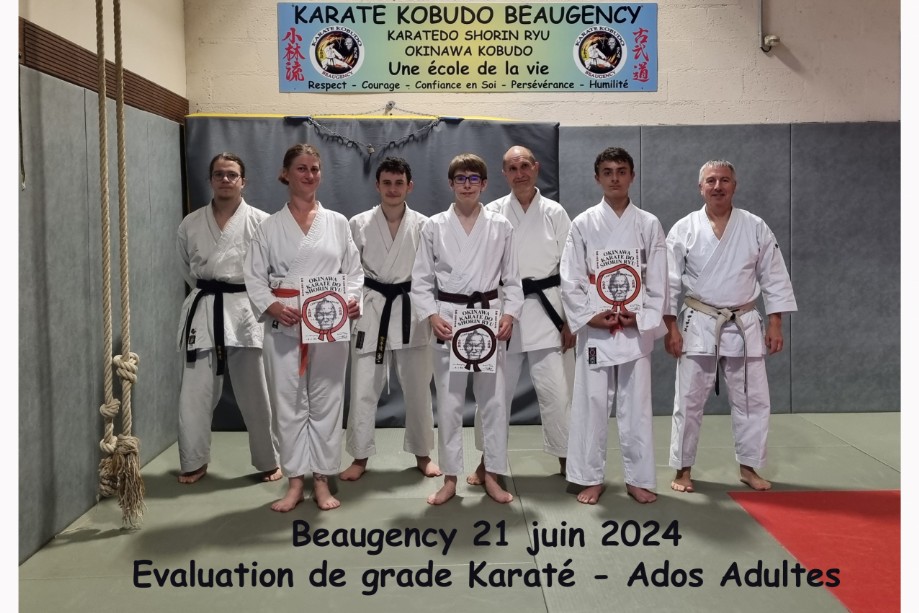 Grade Kyu Adultes