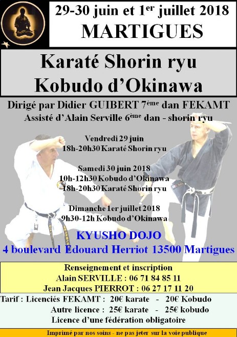 Affiche stage Martigues