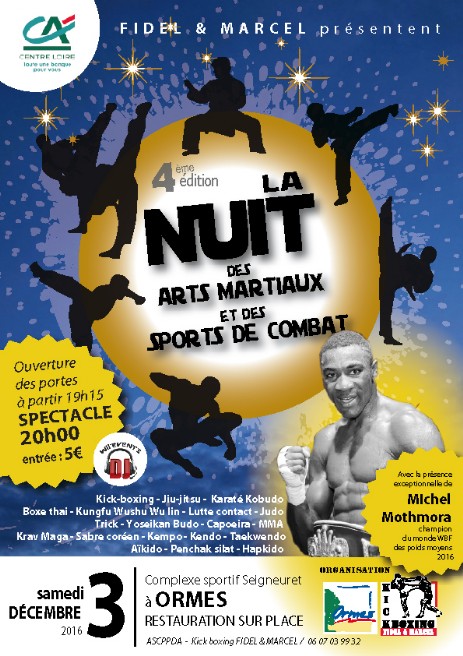 Affiche Nuit arts martiaux 2016