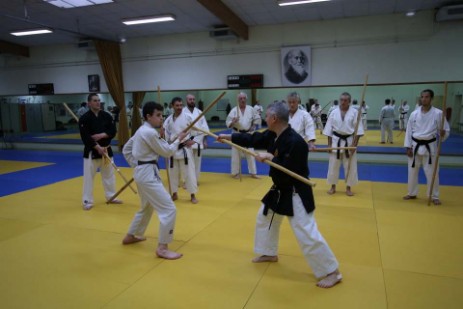 Kobudo action