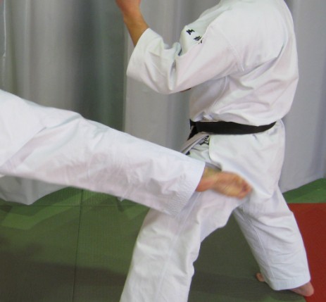 Quadriceps