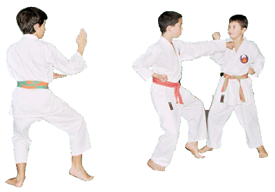 Kata Kumite