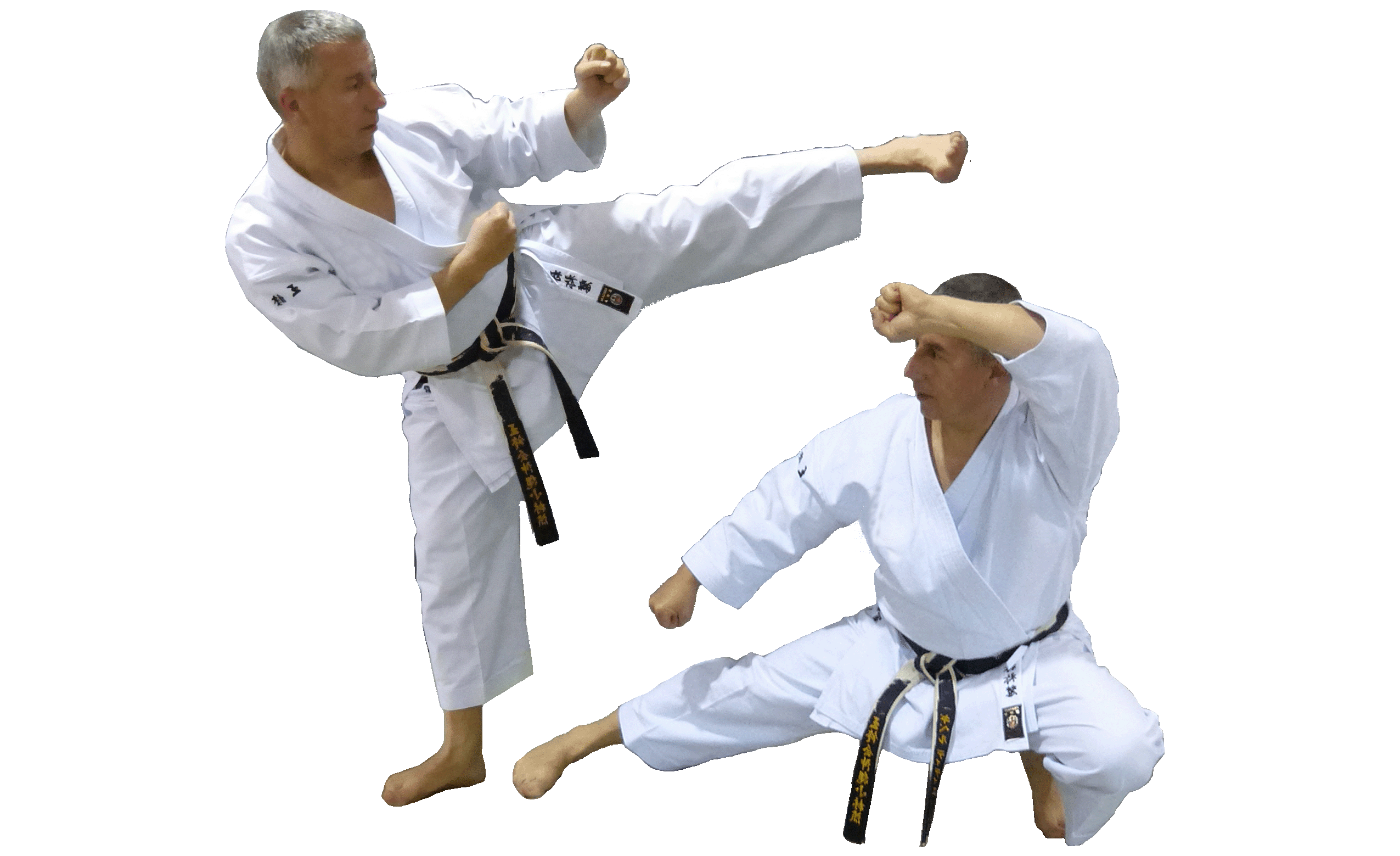 Karaté Shorin ryu