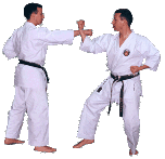 Pratique du Karaté Shorin ryu au dojo KKB