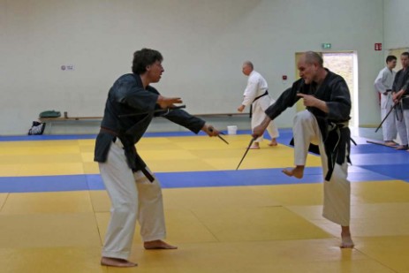 Pierre Kobudo bunkai